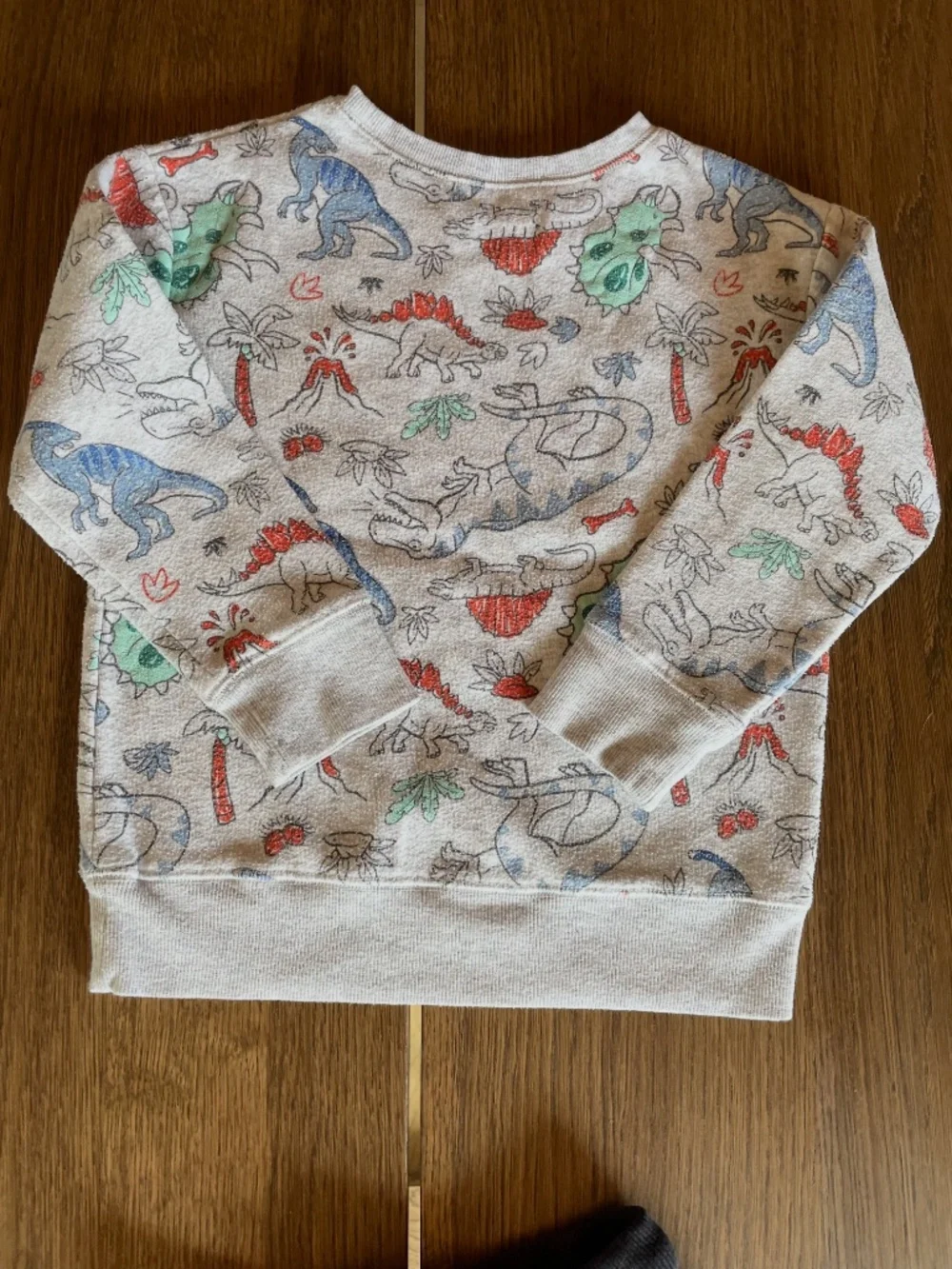 Boys Size 5 Dinosaur Sweatshirt & Pants 3-Piece Bundle